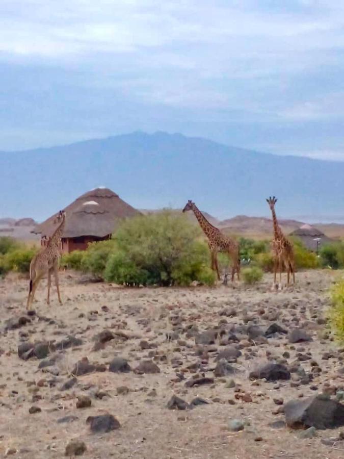 Africa Safari Lake Natron Camping Mtowabaga Buitenkant foto