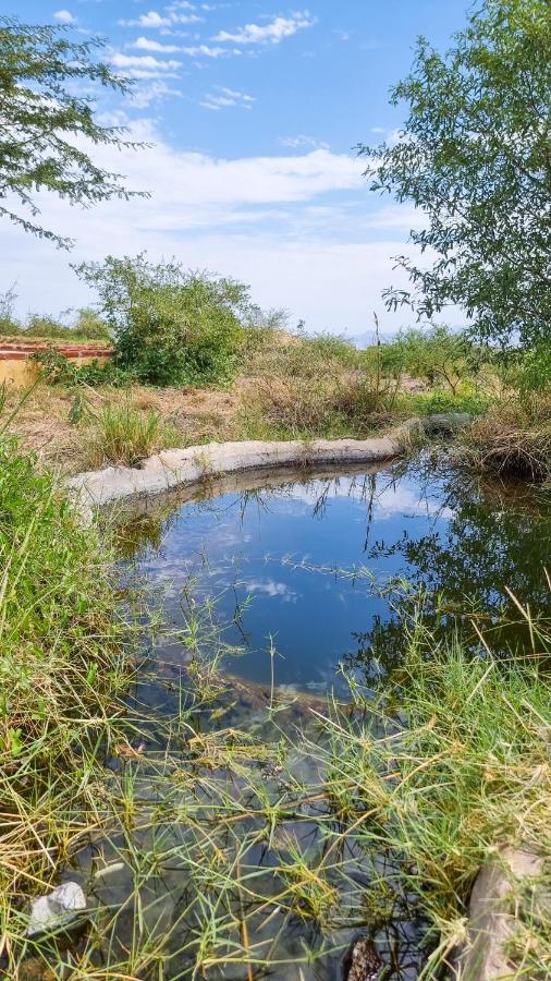 Africa Safari Lake Natron Camping Mtowabaga Buitenkant foto
